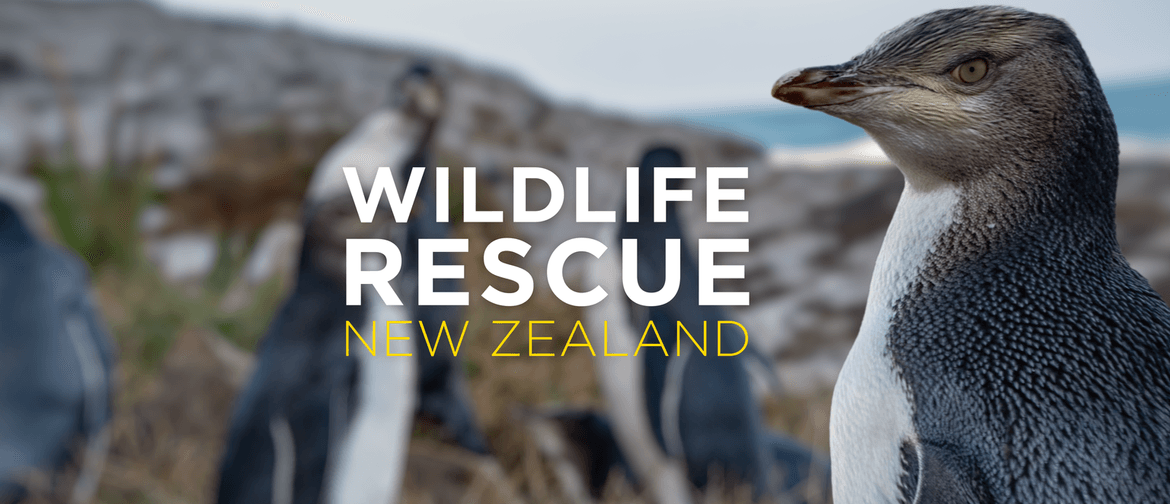 Wild Movies – Wildlife Rescue NZ – Penguin Tsunami: CANCELLED