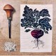 School Holiday Printmaking with Alexia Martin
