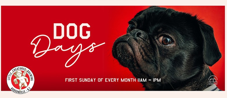 Dog Days Auckland Eventfinda