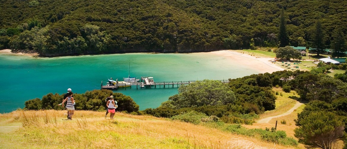 Urupukapuka Island - Walk 6