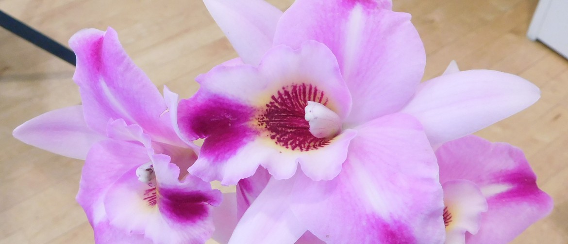 Hibiscus Coast Orchid Society Spring Show: CANCELLED