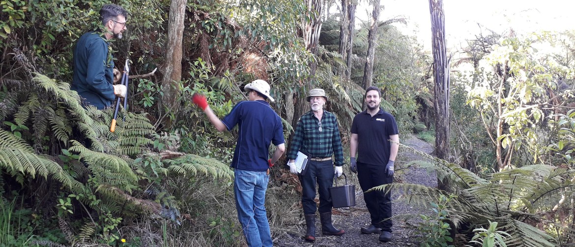 Friends of Manga Ō - Mangaonua Gully Group