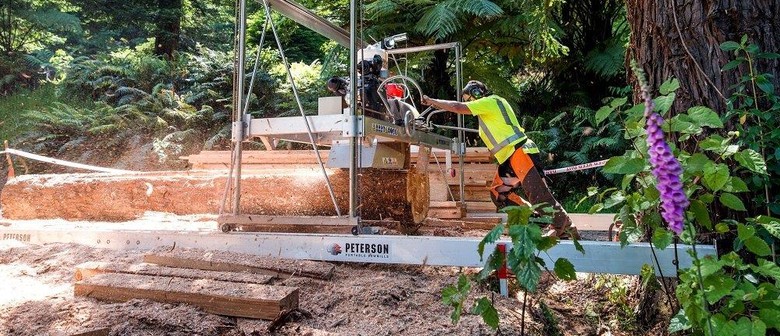 Peterson Sawmills Factory Demo Day Rotorua Eventfinda