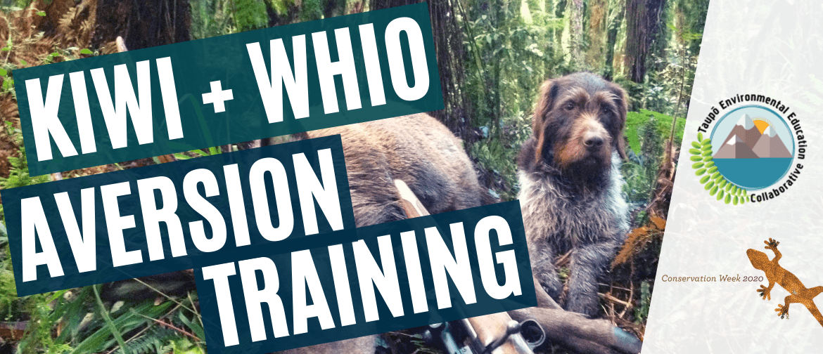 Kiwi & Whio Aversion Training for Dogs: CANCELLED