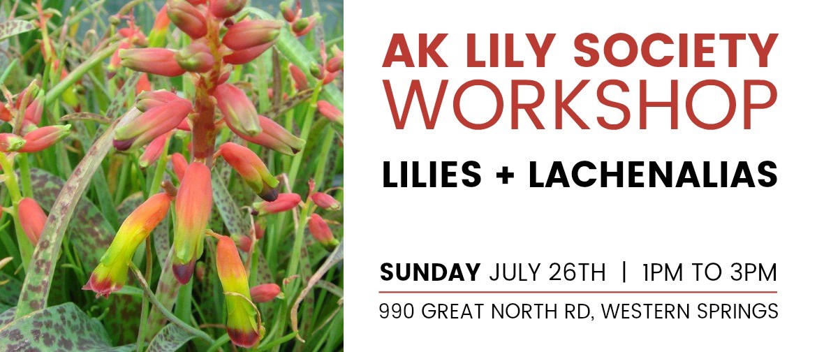 Auckland Lily Society Workshop