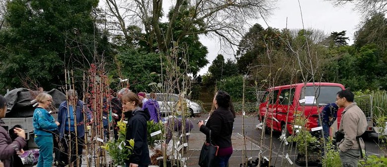 Spring Tree and Plant Sale 2020