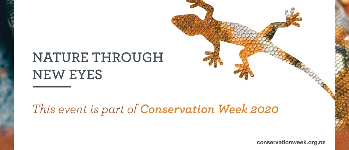 Teacher PLD: Conservation Week In Your Classroom