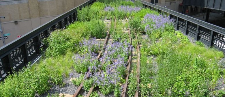 Re-imagining Lincoln Centre and the High Line: Movie