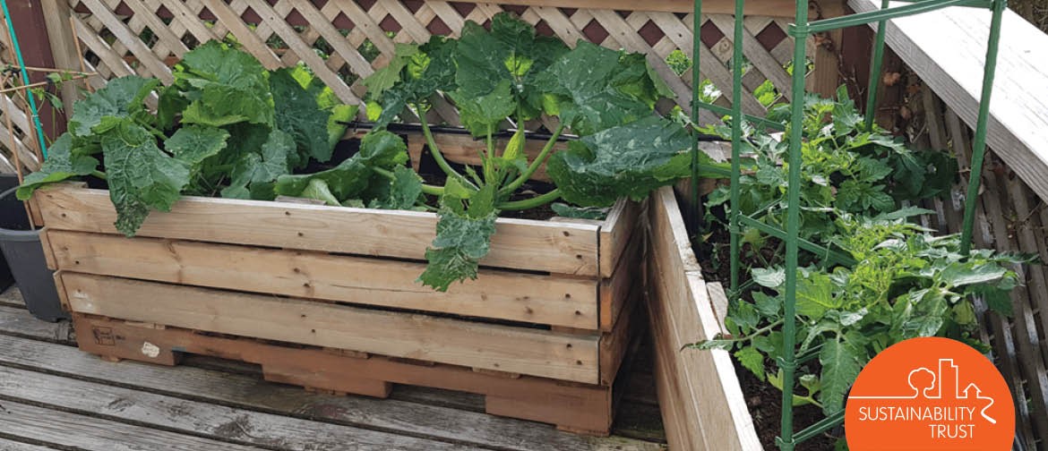 Learn How To Upcycle A Pallet Into A Planter Box