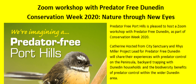 Zoom Workshop with Predator Free Dunedin