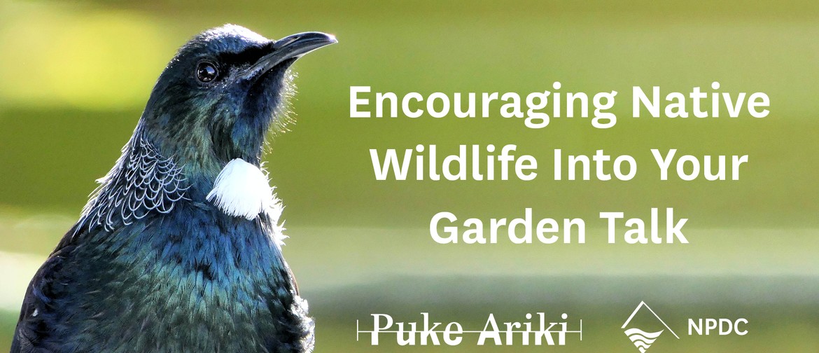 Encouraging Native Wildlife Into Your Garden
