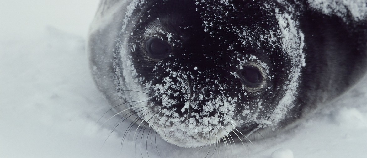 Antarctica Through Fresh Eyes - A Tauira Film Competition