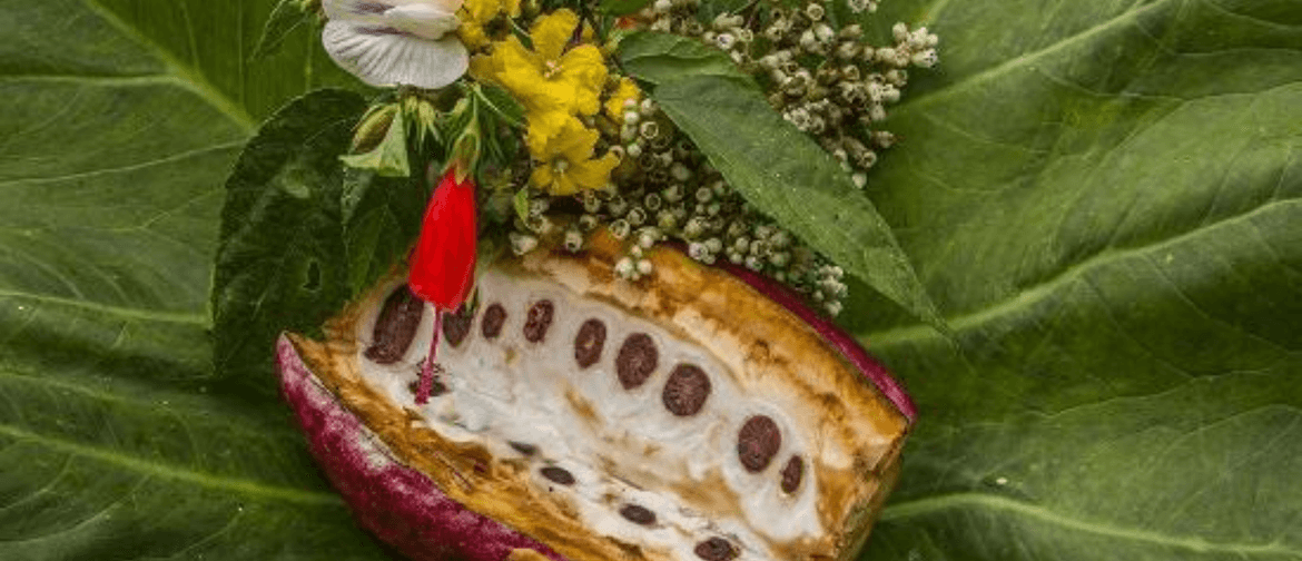 Spring Equinox Cacao Ceremony & Heart Sharing