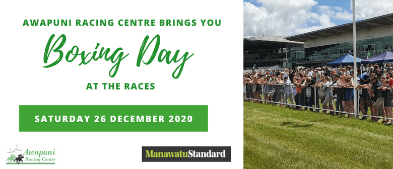 Boxing Day At The Races Palmerston North Eventfinda
