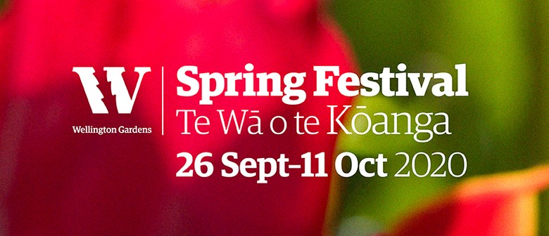 Spring Festival – Te Wā o te Kōanga