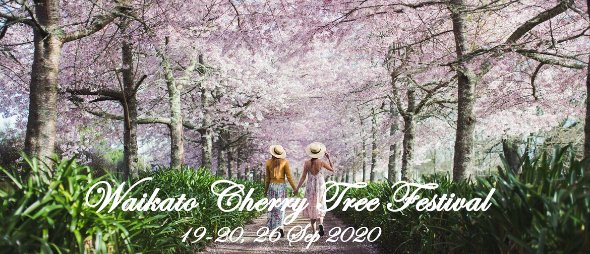 Waikato Cherry Tree Festival