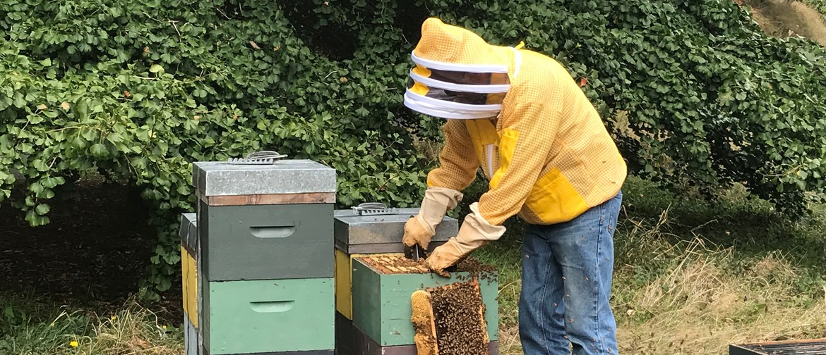 The secret life of honey bees