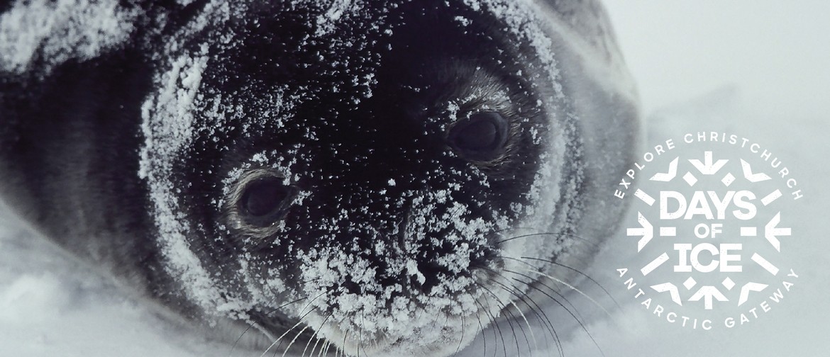 Days of Ice: Antarctica Through Fresh Eyes Film Competition