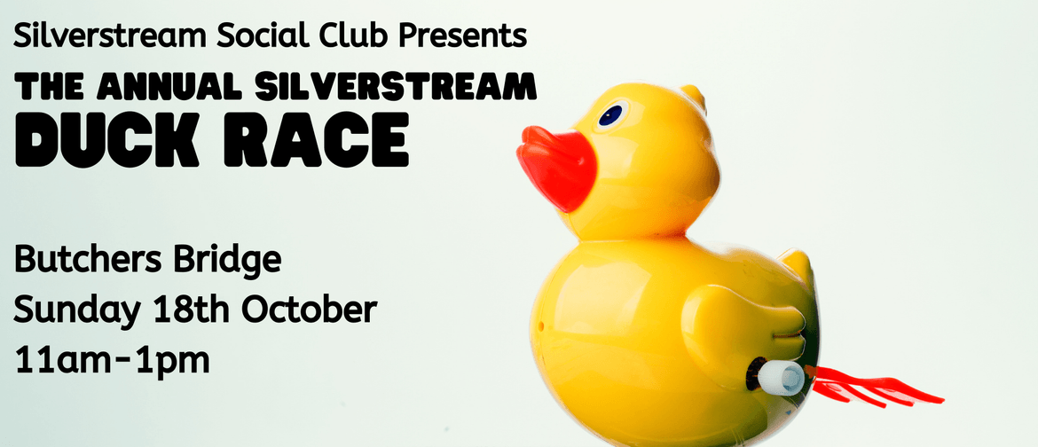 The Annual Silverstream Duck Race