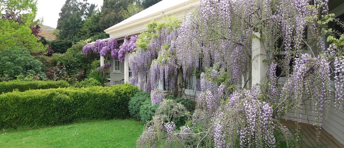 Tai Tapu Garden Tour 2020