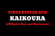 Virus Buster Run: Kaikoura