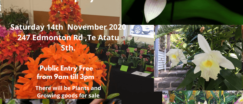 Waitakere Orchid Club President’s Orchid Sale and Display