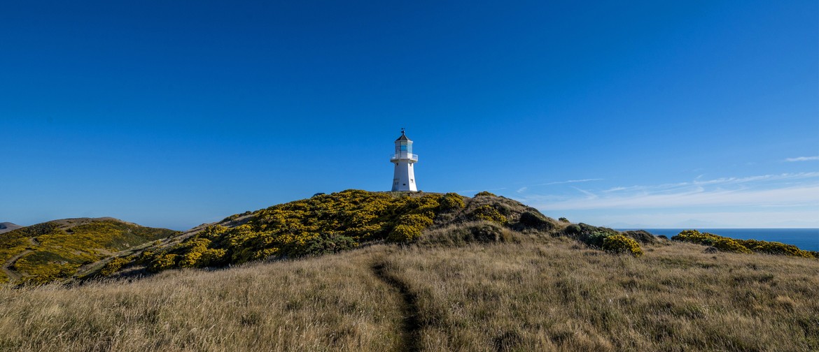 Pencarrow Lighthouse: Talk and Cycle Trip