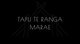 Tapu te Ranga Marae Documentary Fundraiser