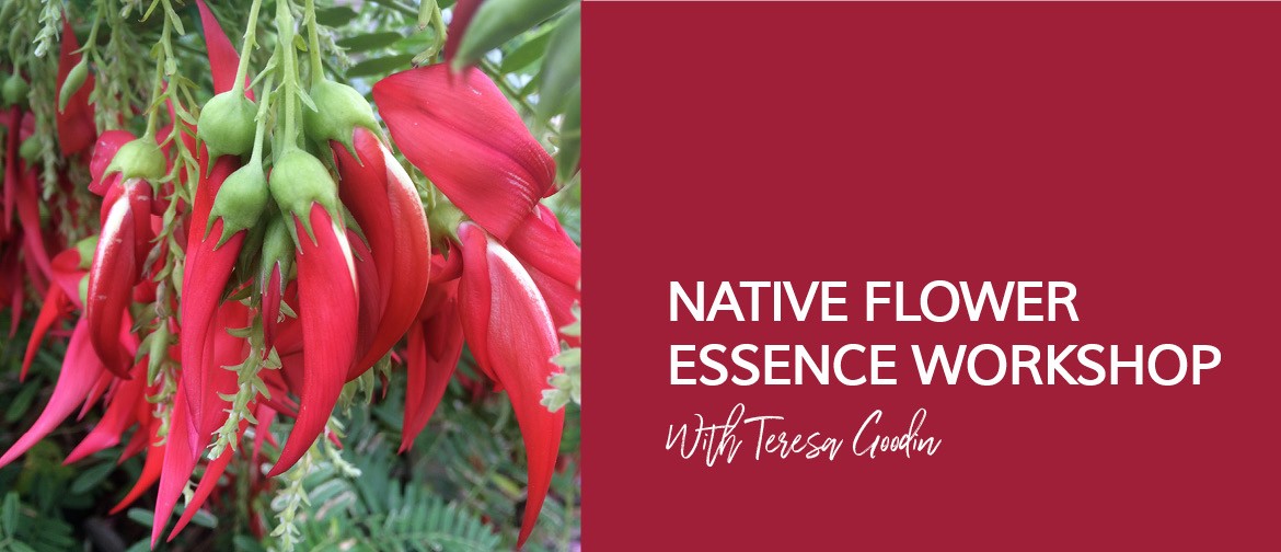 Native Flower Essence Workshop with Teresa Goodin