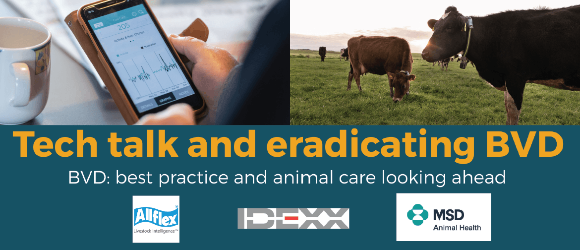 Tech Talk and Eradicating BVD - Waipa Tech Talk and Eradicating BVD - Waipa