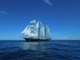 Fun Day Out On Spirit of New Zealand in the Bay of Islands