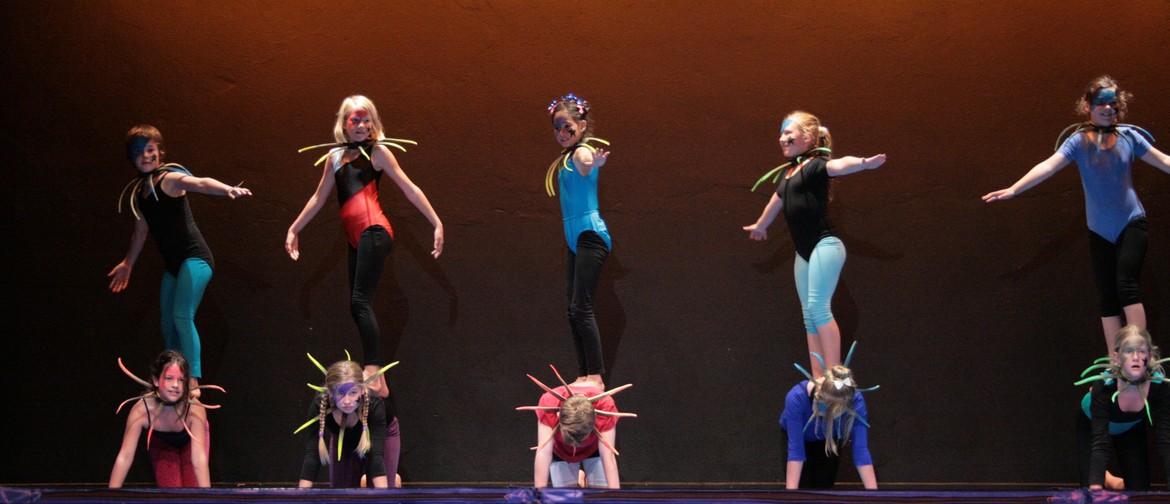 Circus Classes for Kids - ages 8-10 Years