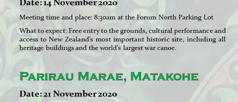 Cultural Journey: Waitangi Treaty Grounds