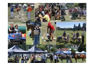 Taihape and Districts 110th Agricultural & Pastoral Show