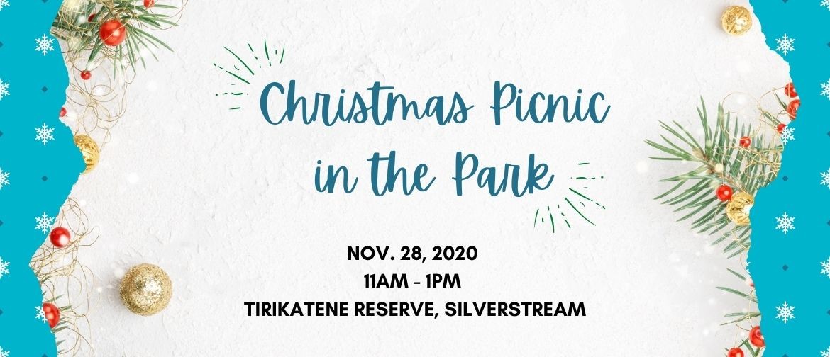 Christmas Picnic in the Park