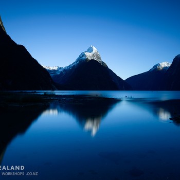 Fiordland Photography Tour - 5 Days