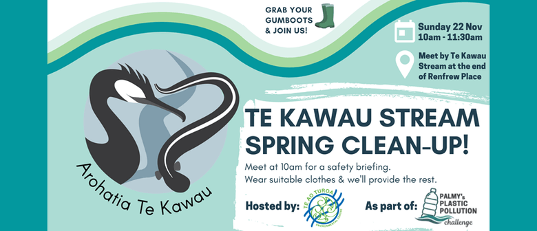 Te Kawau Stream Spring Clean-Up!