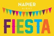 Napier Night Fiesta
