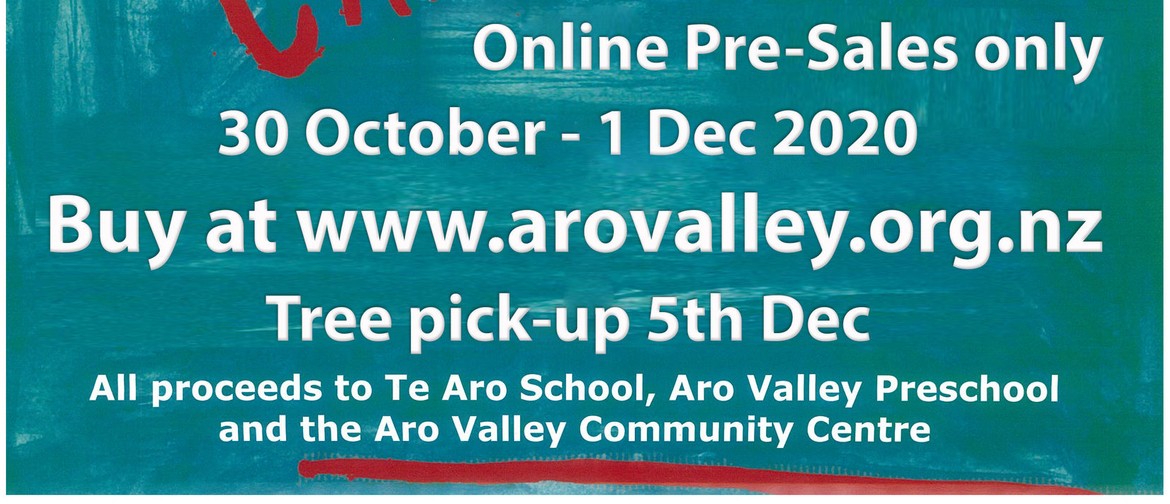 Aro Valley Xmas Tree Fundraiser 2020