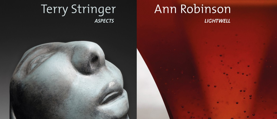 Ann Robinson "Lightwell" & Terry Stringer "Aspects"