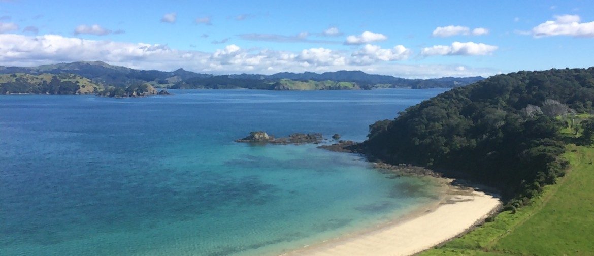 Whangarei orienteering event