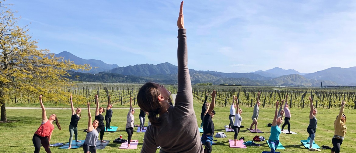 Yoga at Clos Henri