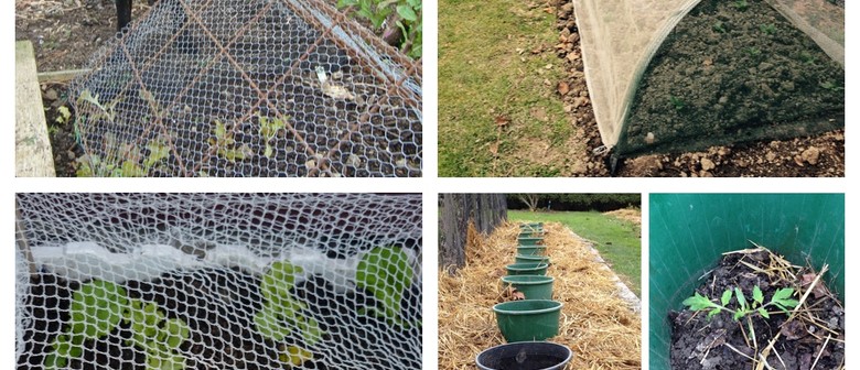 Sustainable Backyards - Portable Shade and Shelter