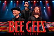 The Bee Gees Night Fever