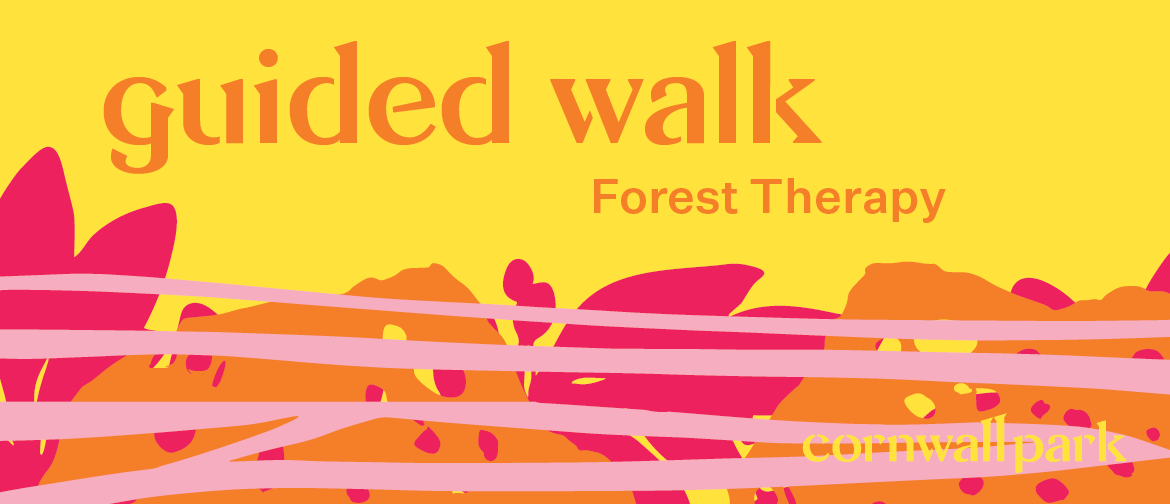 Forest Therapy Walk