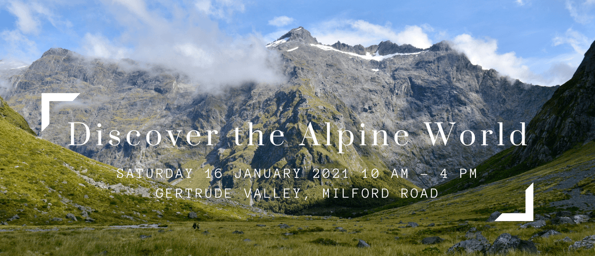 Discover the Alpine World