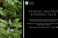 Tawaki Fiordland Crested Penguin Talk