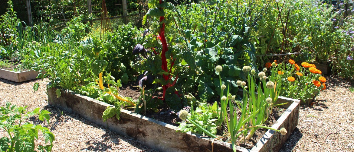 Discover The Magic of The Edible Food Forest