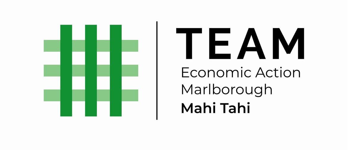 TEAM Group - Marlborough Economic Update