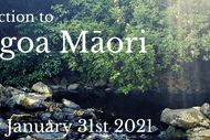 Introduction to Rongoā Māori - Level One